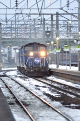 今日は遠くの写真