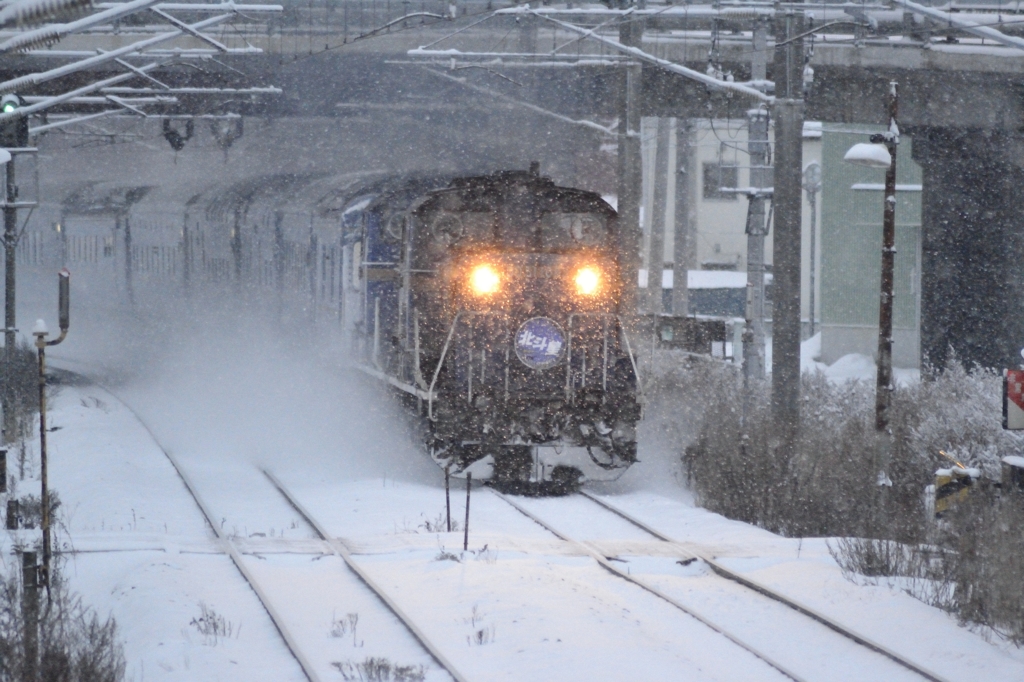 2015/01/29　北斗星　ディーゼル車牽引　3