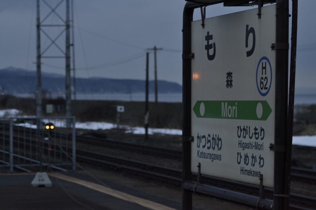 今日は森まで来ました