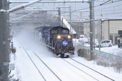 2015/01/29　北斗星　ディーゼル車牽引　6