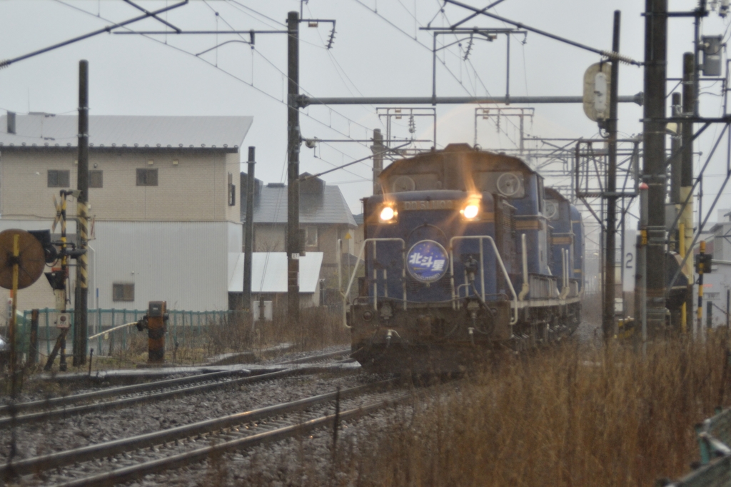 2015/03/10　雨の中の北斗星　7