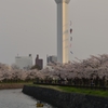 五稜郭タワー　1