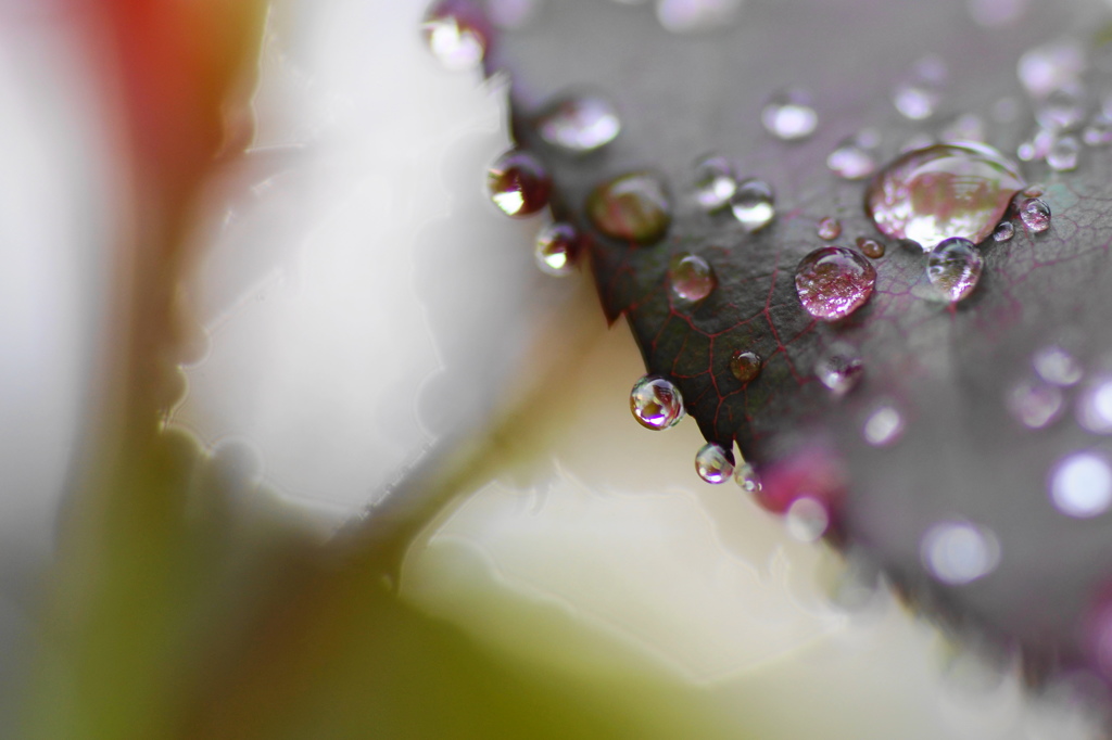 雨滴