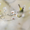 If I’ve Been Enveloped by Tenderness  Ⅱ
