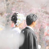 この良き日に（満開の桜に囲まれて）
