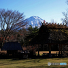 日本の原風景のような・・・