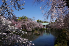 賑わう神社にて