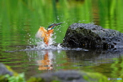 水遊び