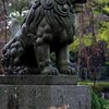 狛犬と狛猫？