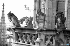 パリ市内を眺めるノートル・ダム大聖堂のキマイラ達
