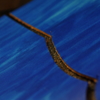 海を斬る