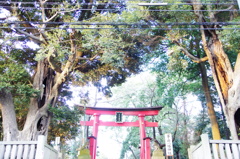 峯ケ岡八幡神社