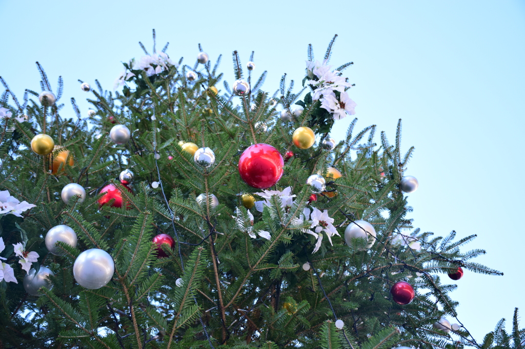 クリスマスツリー（昼）