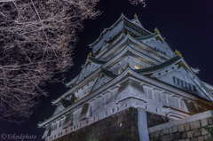 闇に聳える