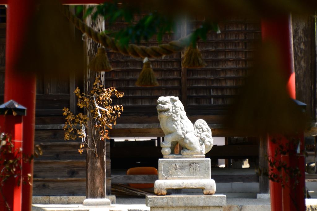 神社の番犬