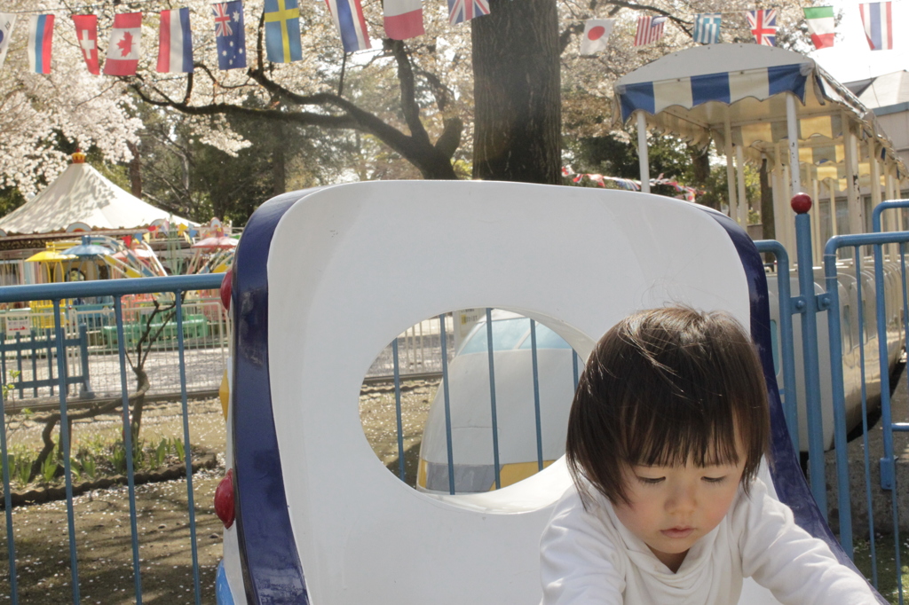 井の頭公園にて