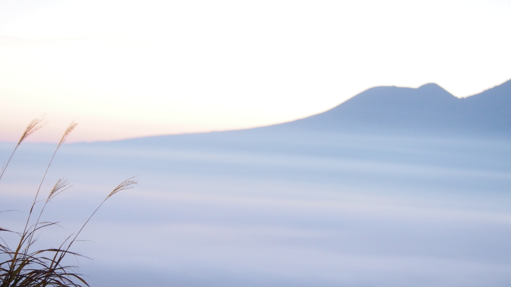 朝靄と雲海