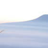 朝靄と雲海