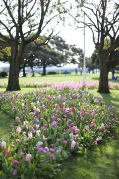 花麗なる入場