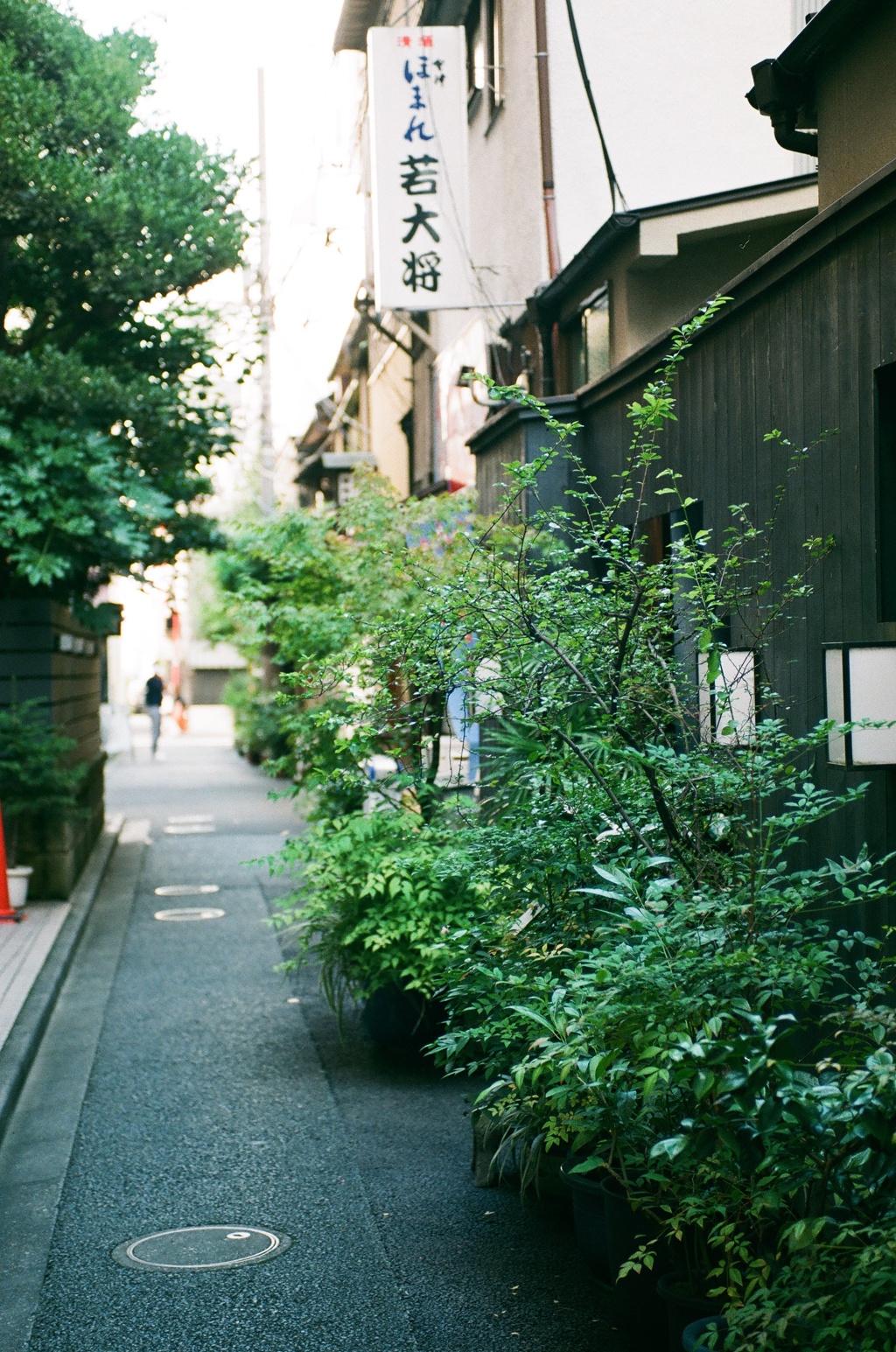 裏路地