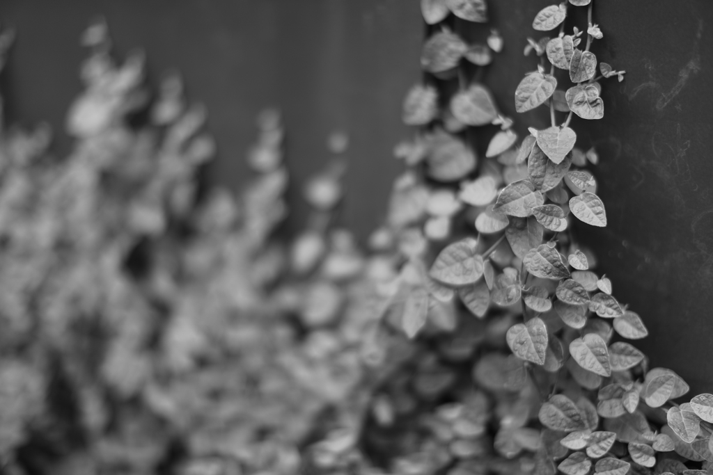 TOKYO”オアシス