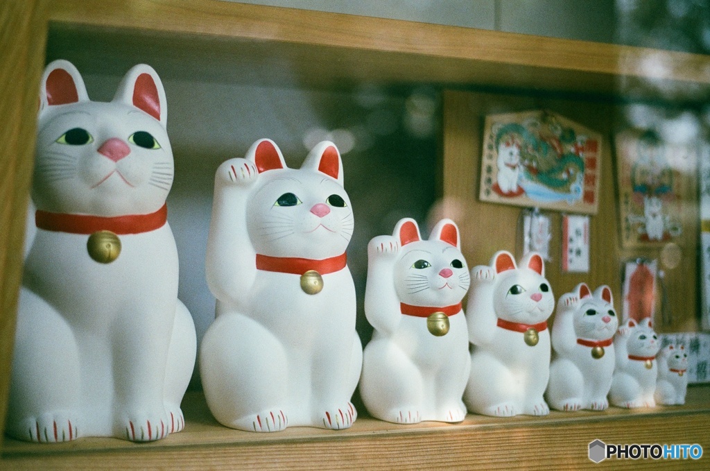 招き親子猫