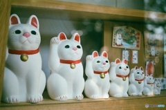招き親子猫