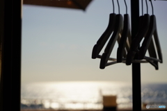 昼下がりのひと時