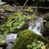 秋の気配・・