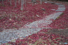 紅葉道