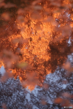 水鏡