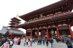 The SENSO-JI