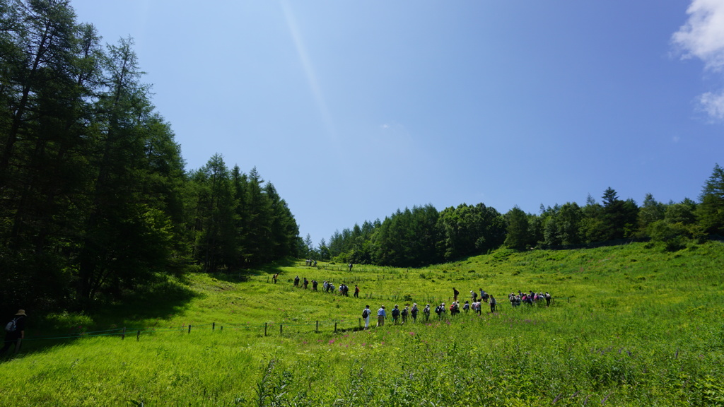 入笠山ジグザグハイキング