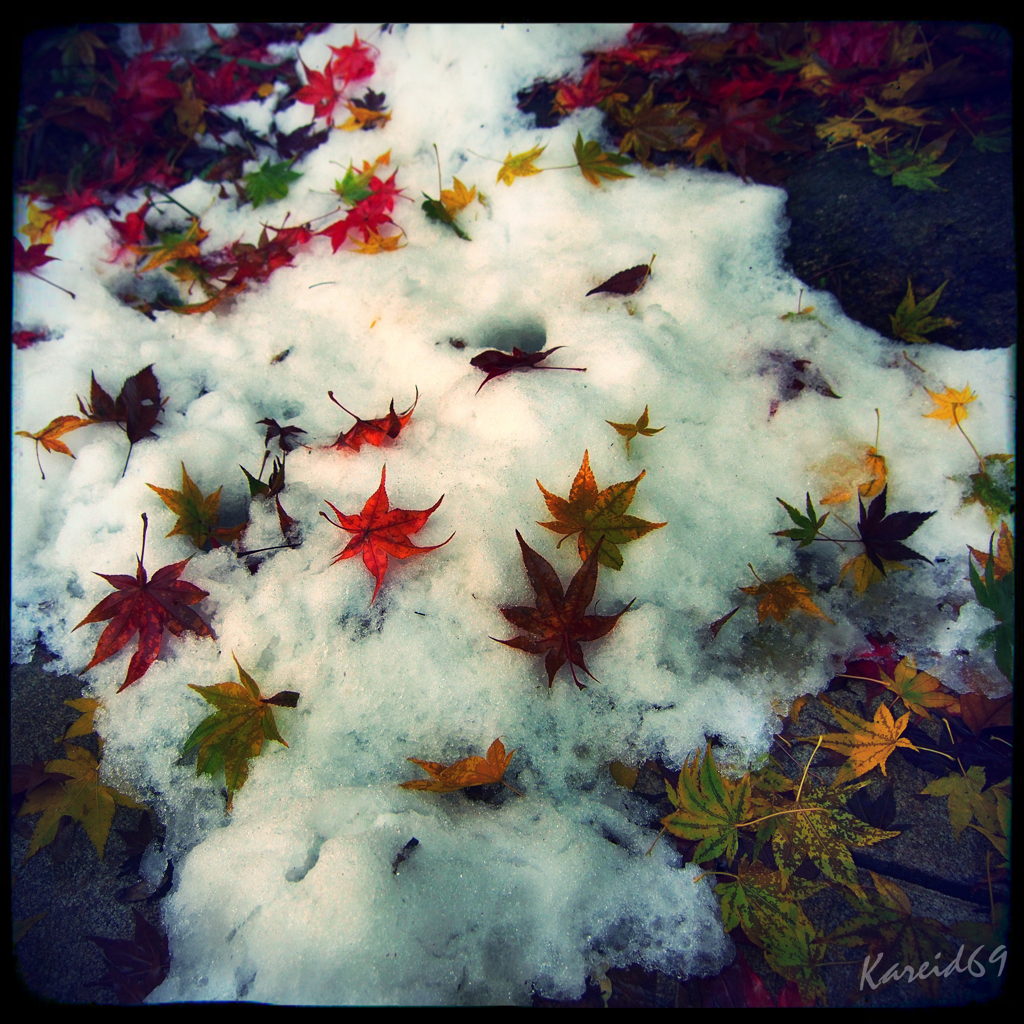 雪化粧