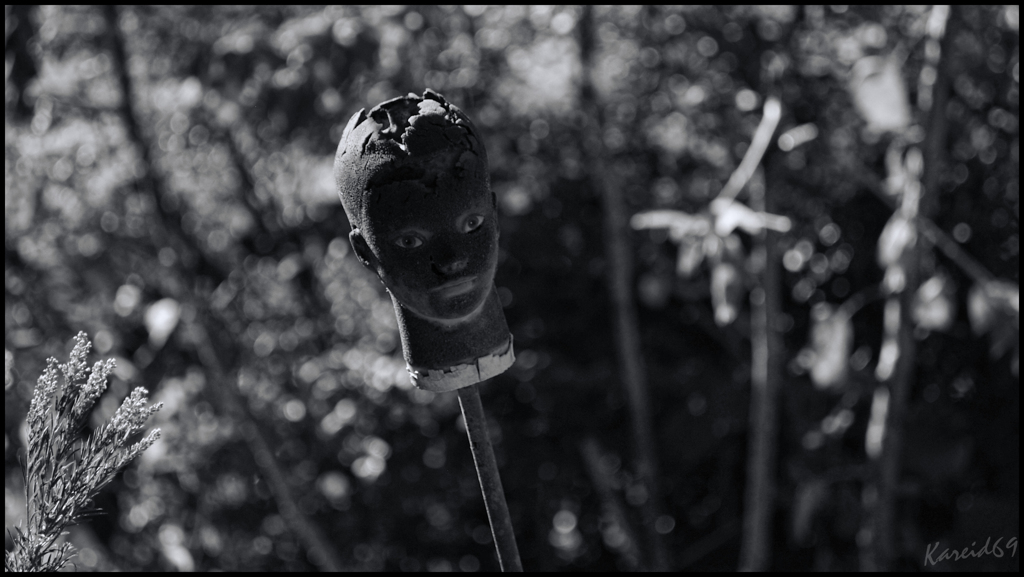 第４種接近遭遇