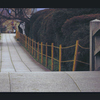 にっぽんの参道