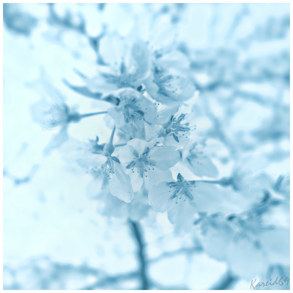 Spring is just around the corner.