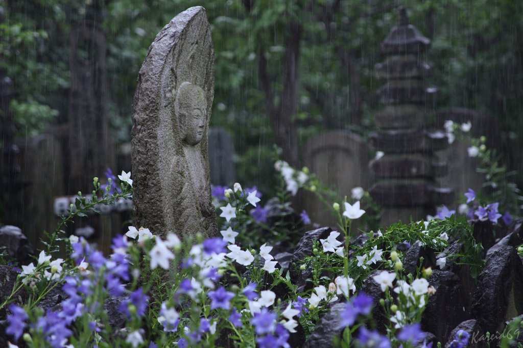 通り雨