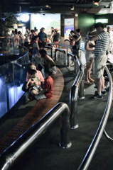 釜山水族館にて
