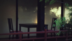 斜陽