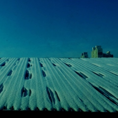 屋根の雪