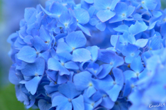 June