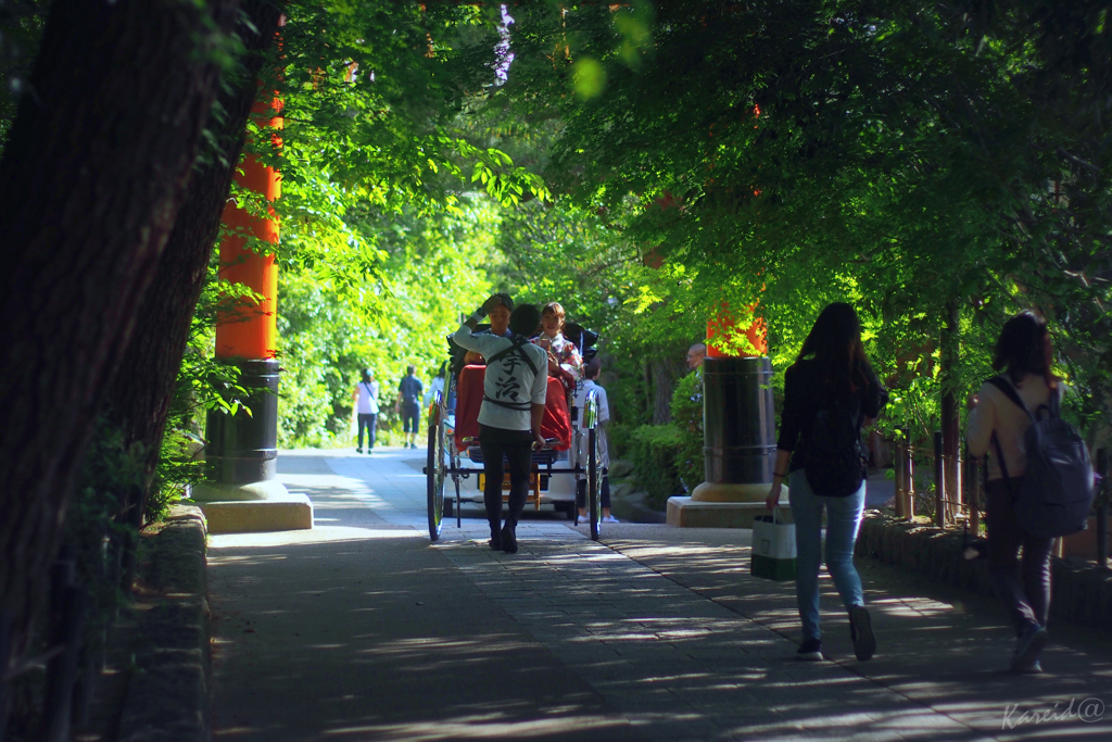 参道を転がす