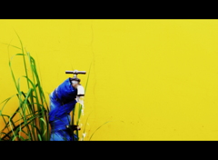 yellow magic