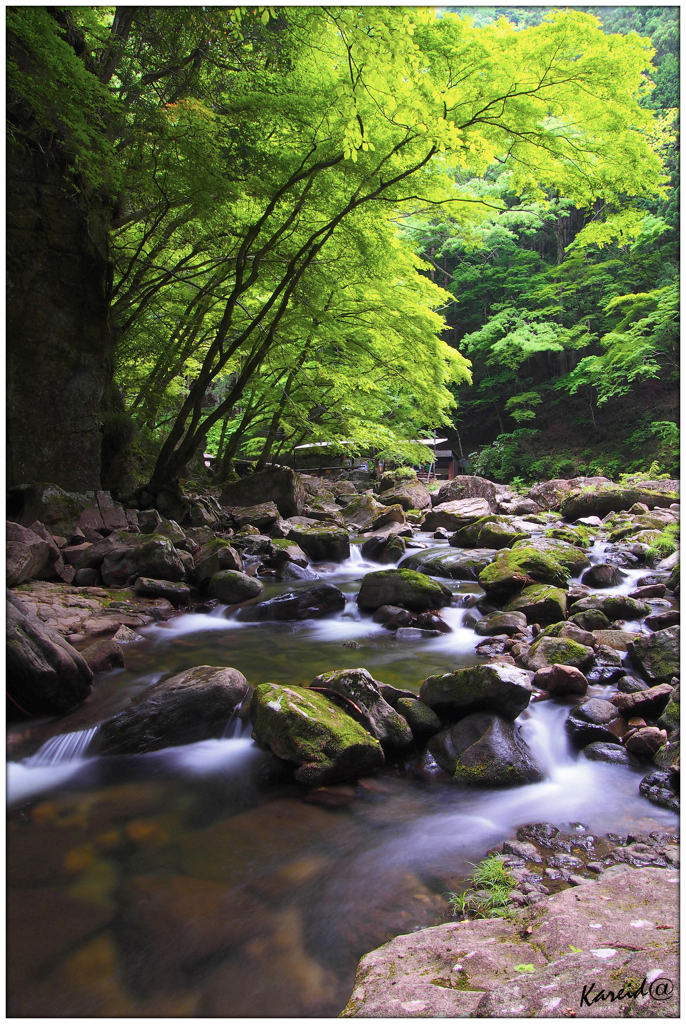 渓流にて