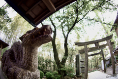 伏見神寶神社