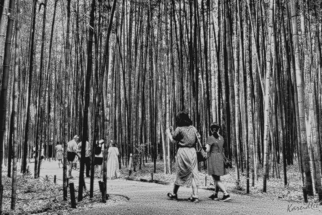 Bamboo Memory