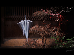 雨宿り