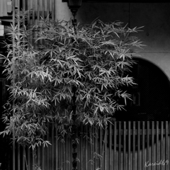 侘住居