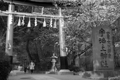 桜蕾の鎭守杜